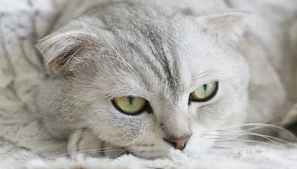 寿光伴游,定制QQ:3494206190微信:act1322